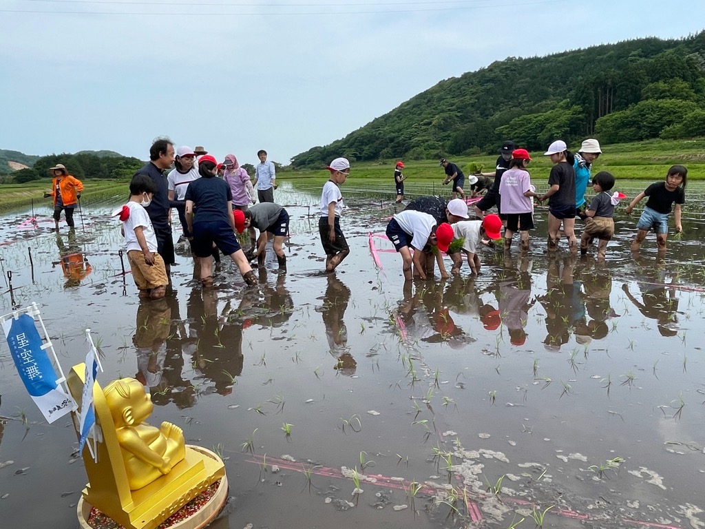 田植え