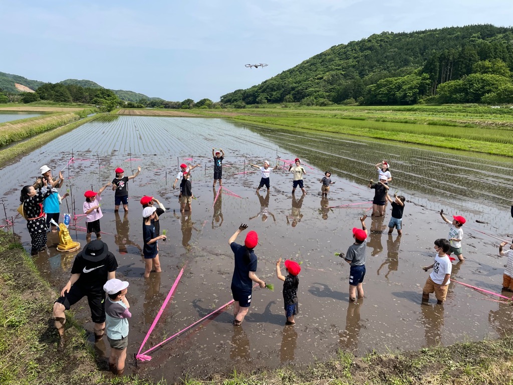 田植え