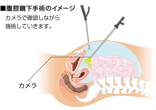 産婦人科1