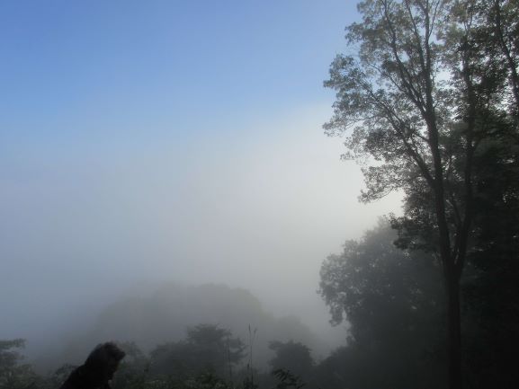 濃霧で前が見えない明地峠