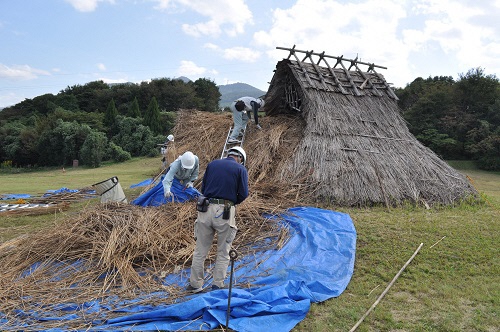 竪穴住居の傷んだ茅を下すところ