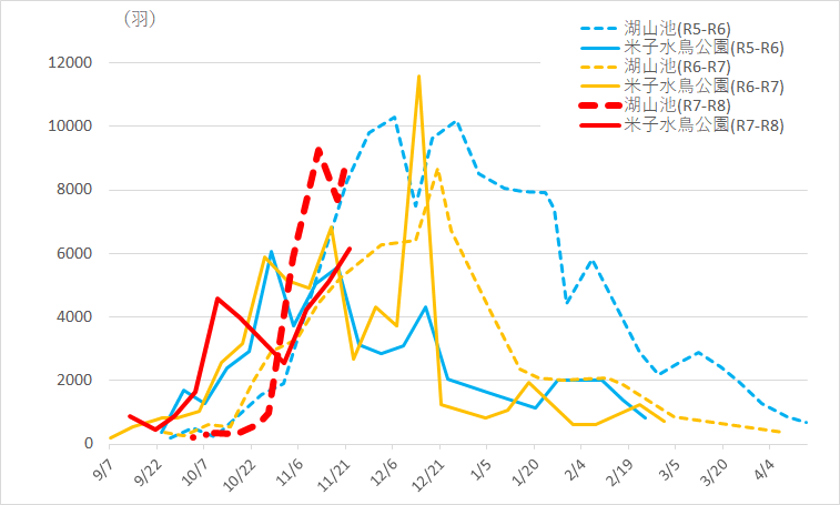野鳥飛来状況20251122