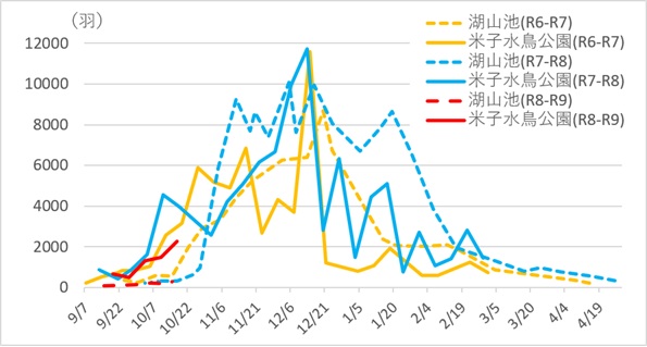 令和8年10月19日飛来状況