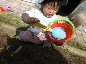 バケツに土を入れている