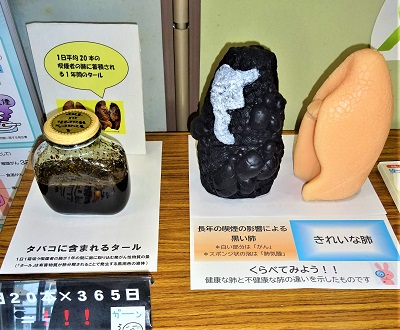 ギャラリー展示画像