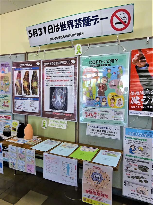 ギャラリー展示画像