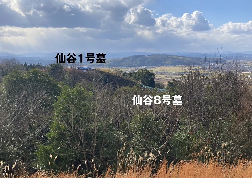 写真2 仙谷2・3・5号墓方面から望む同1号墓(左)・8号墓(右)