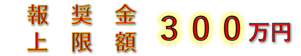 報奨金上限額３００万円