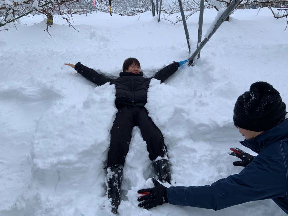 果樹雪下ろし作業後に寝転ぶ