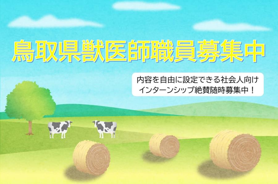 鳥取県獣医師募集中
