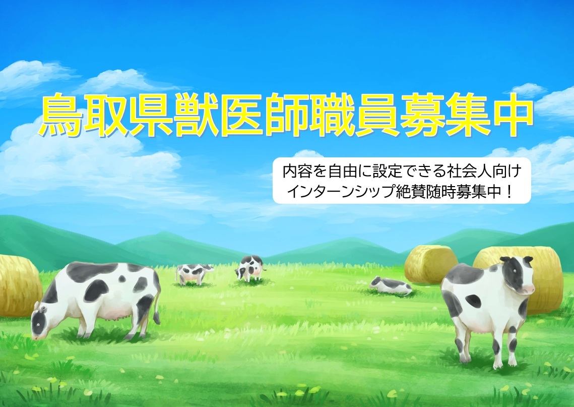鳥取県獣医師募集中