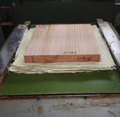 before_pressing