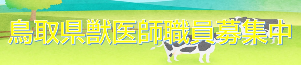 鳥取県獣医師募集中