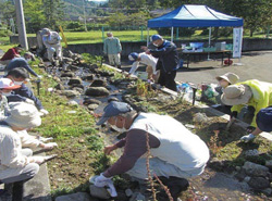 植栽作業の様子