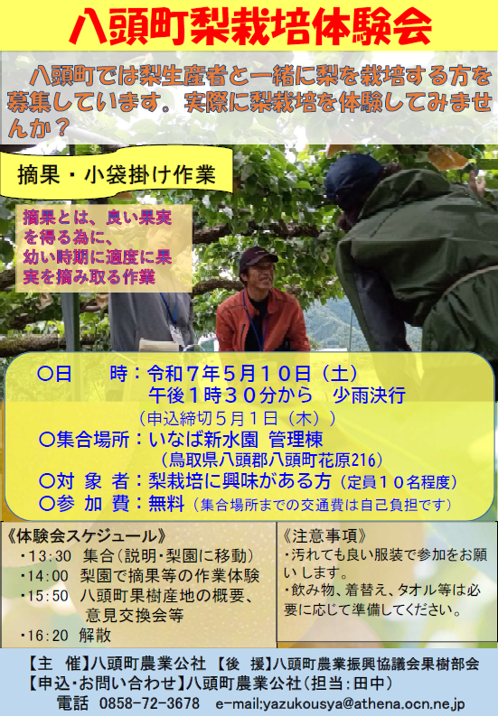 八頭町梨栽培体験会チラシ