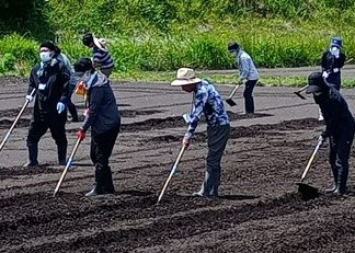 横一列になって溝切・土上げ