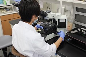 血液検査２