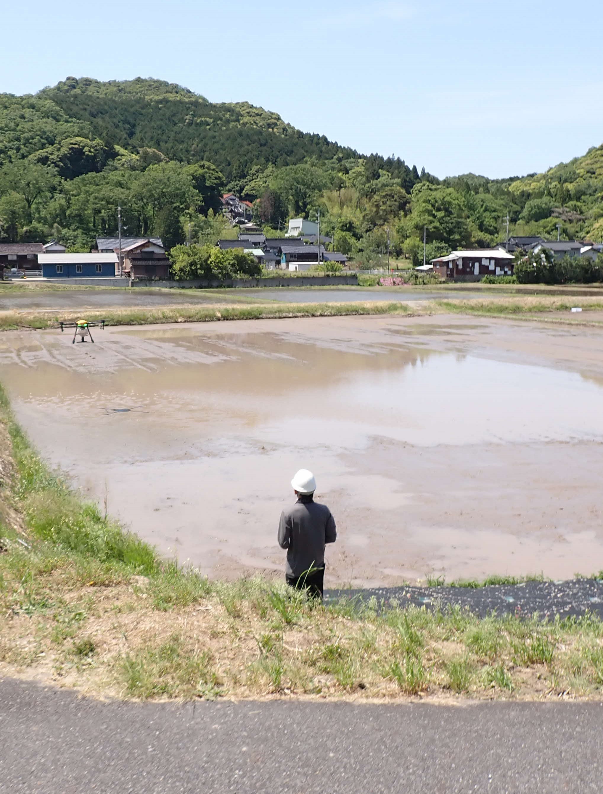 ドローン散播の様子