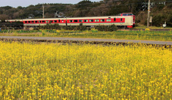 烏取の鉄道風景2