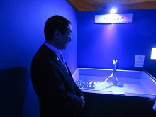 視察1
