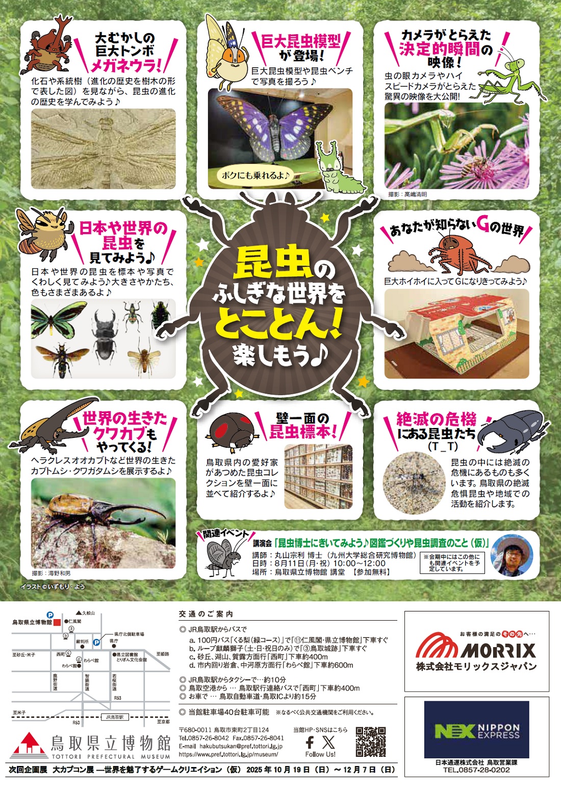 チラシ裏面