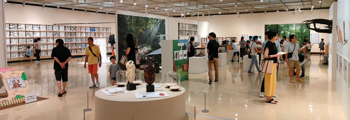 展示室の様子