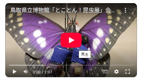 youtubeバナー