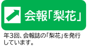 梨花