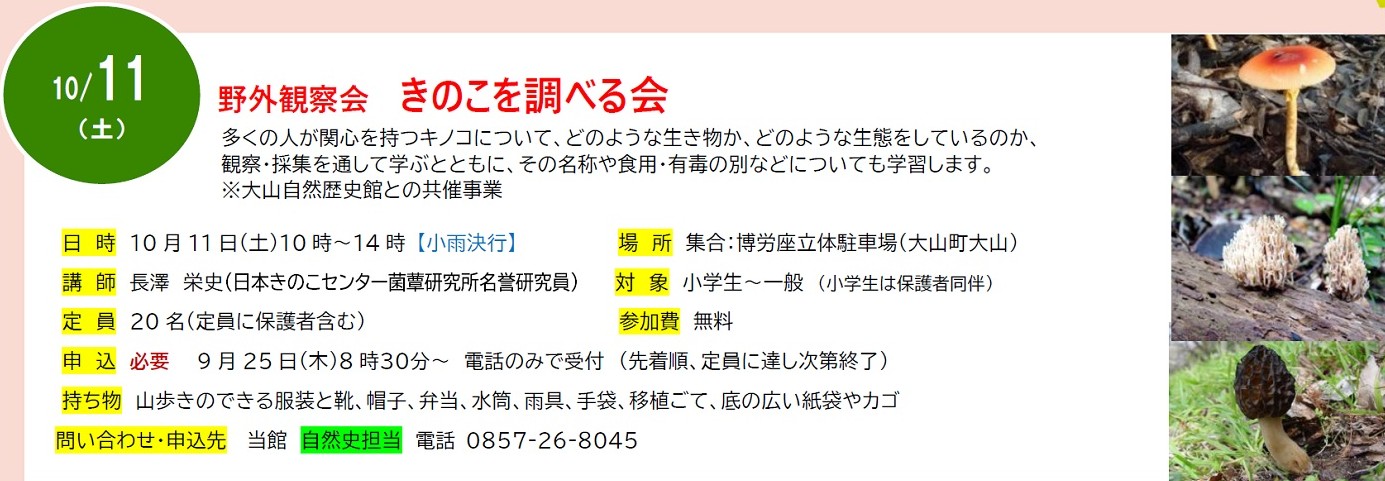 内容