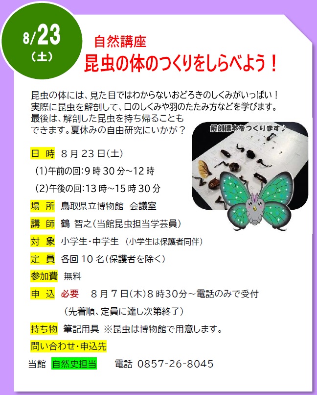 詳細