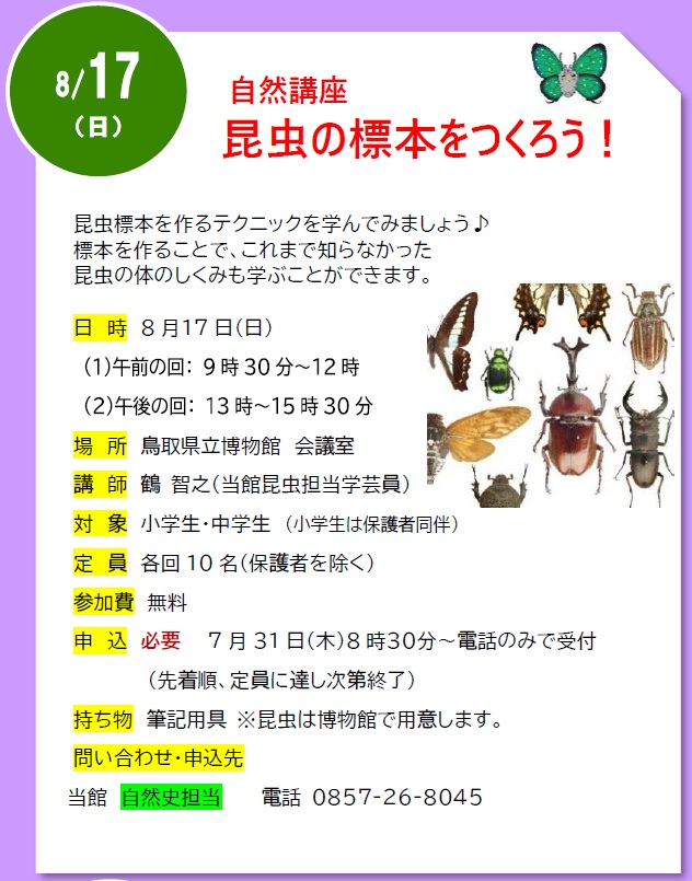 詳細