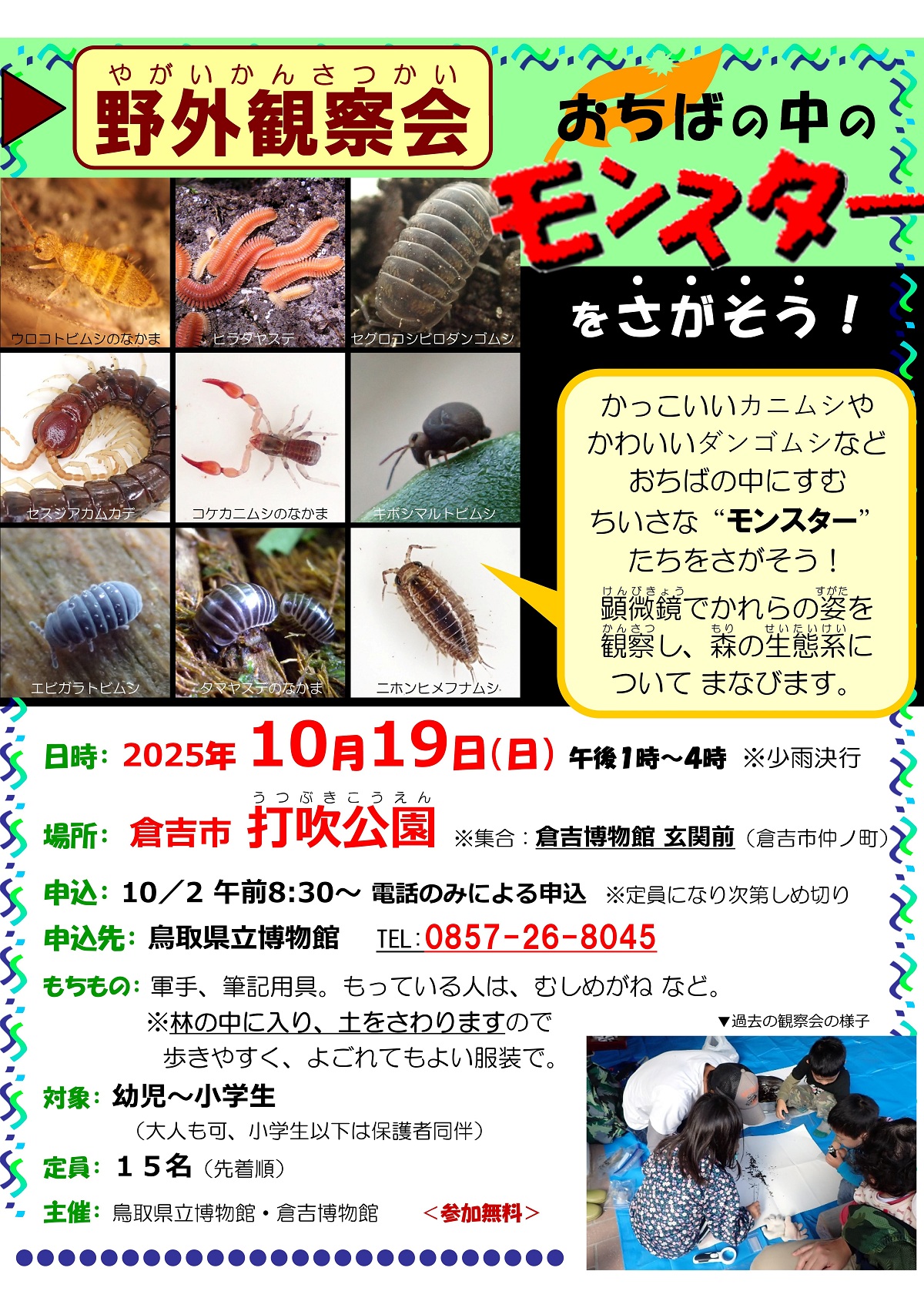 チラシ