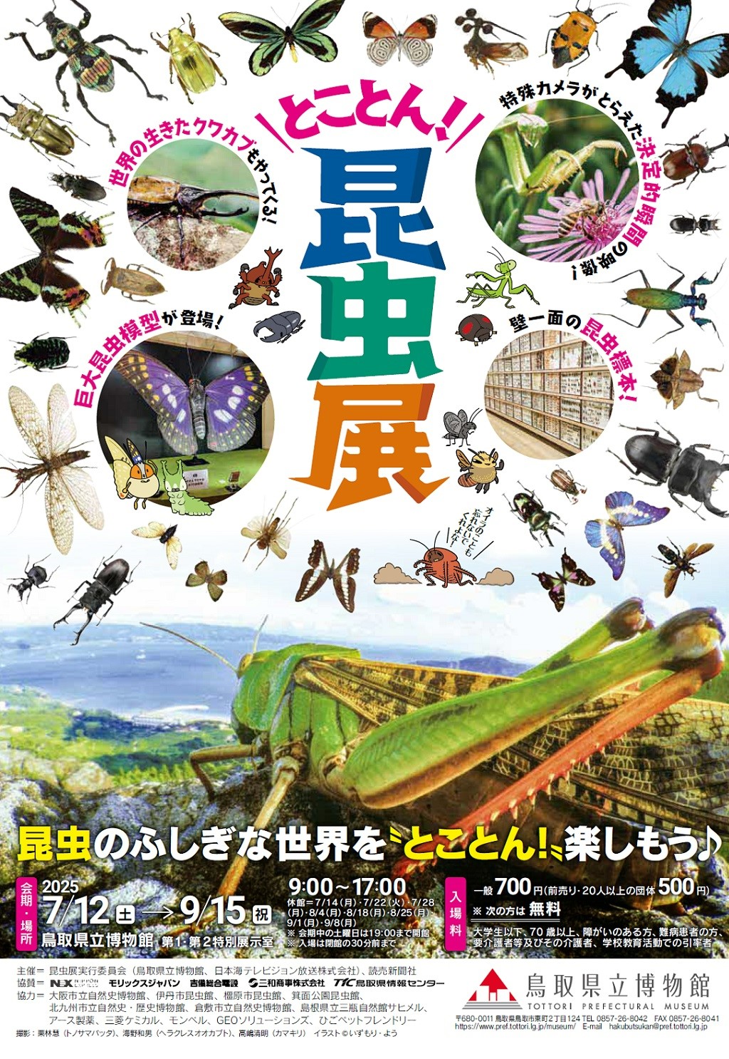 チラシ表