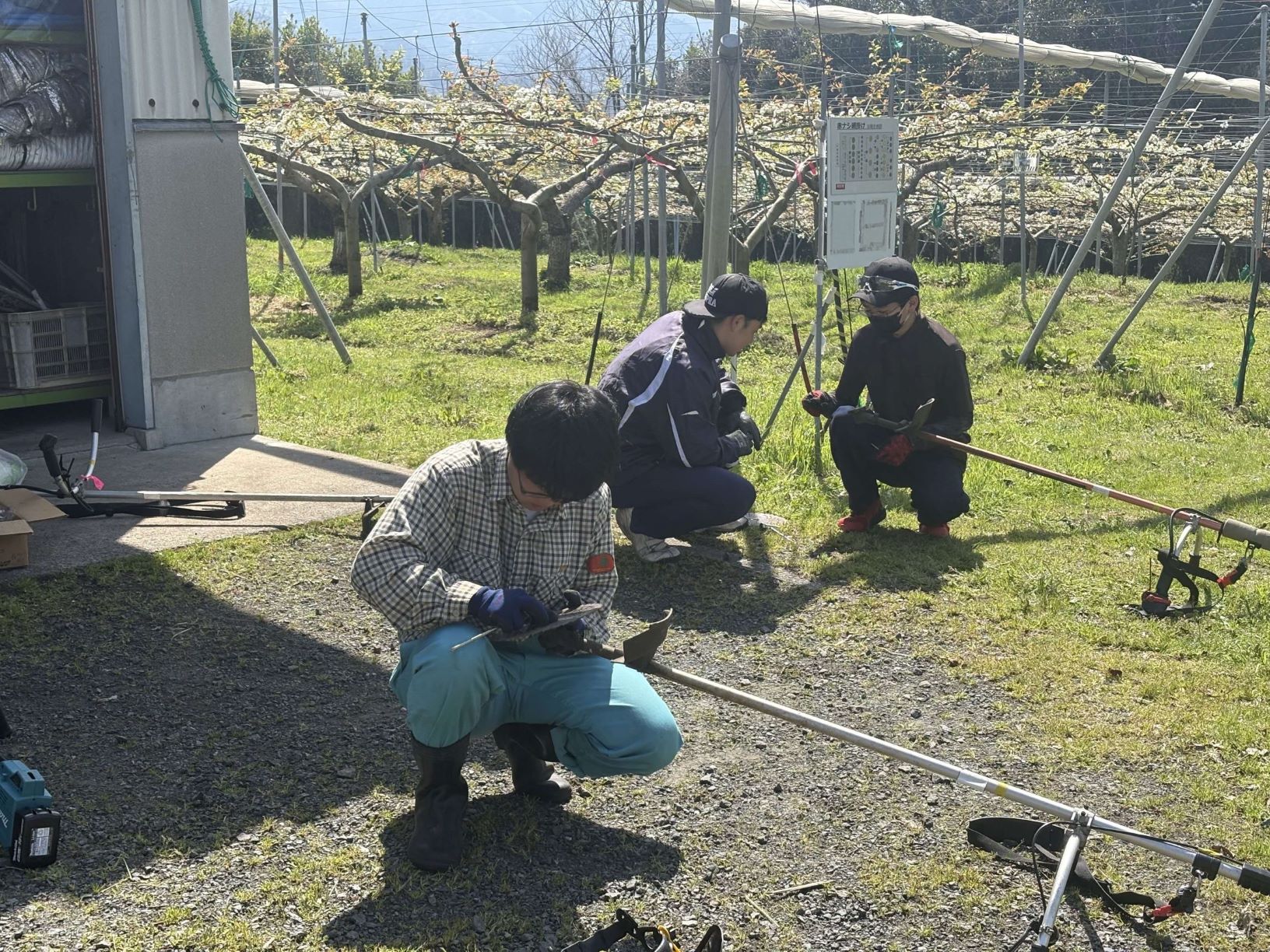 刈払機訓練
