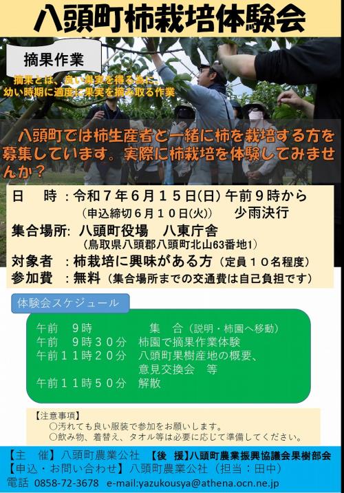 八頭柿栽培体験会チラシ