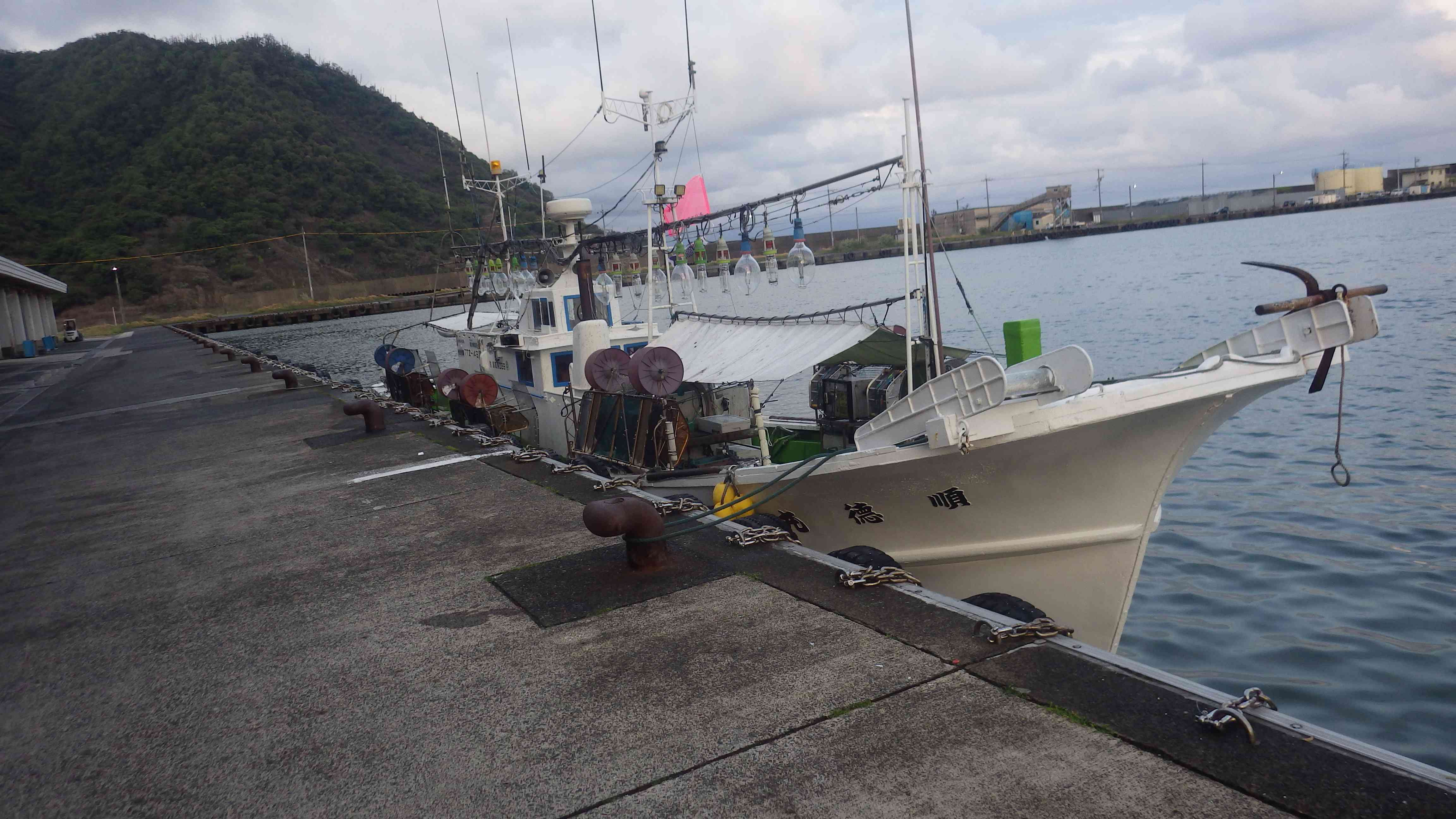 網代沿岸イカ釣り漁船