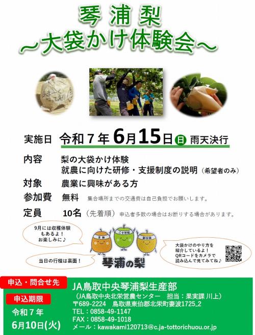 琴浦梨体験会チラシ表