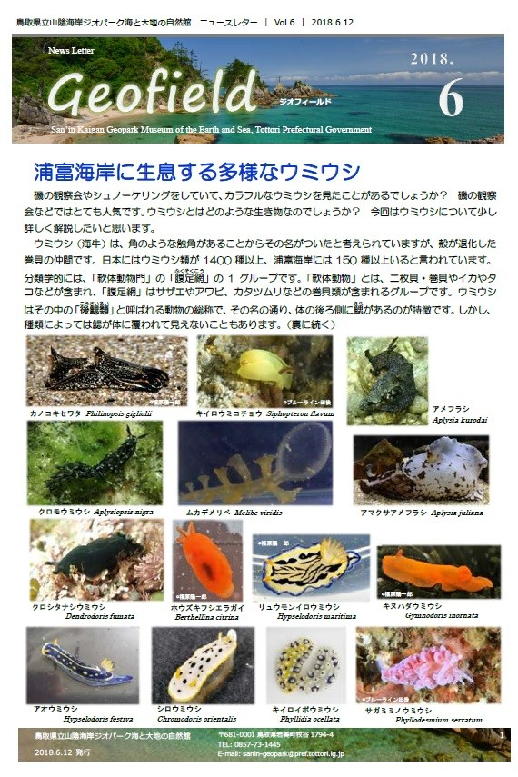 ジオフィールド6