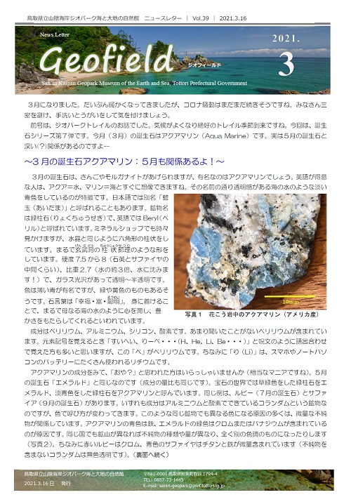 ジオフィールド39