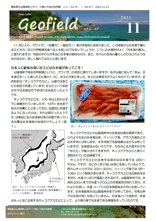 ジオフィールド47