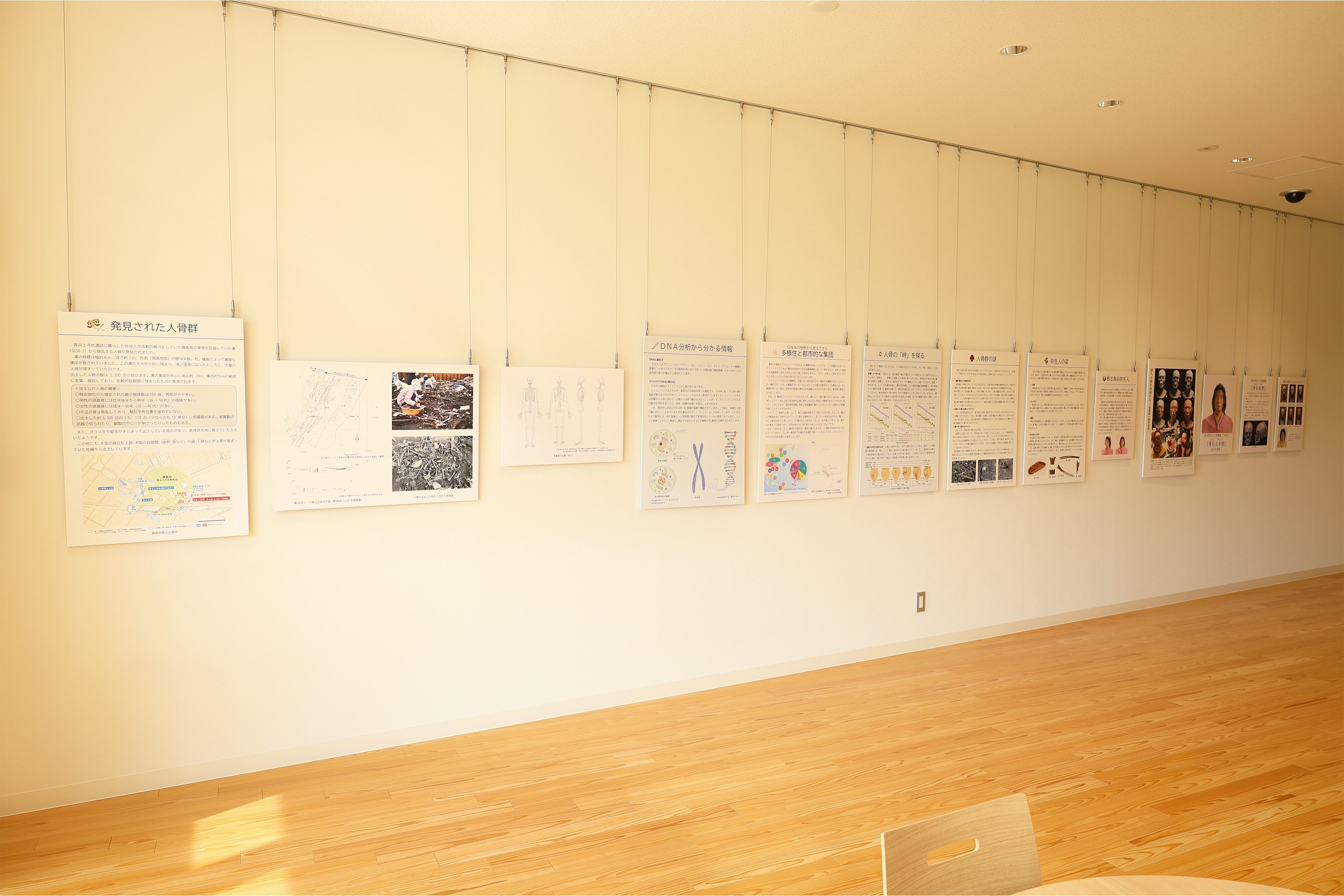 写真　パネル展の様子