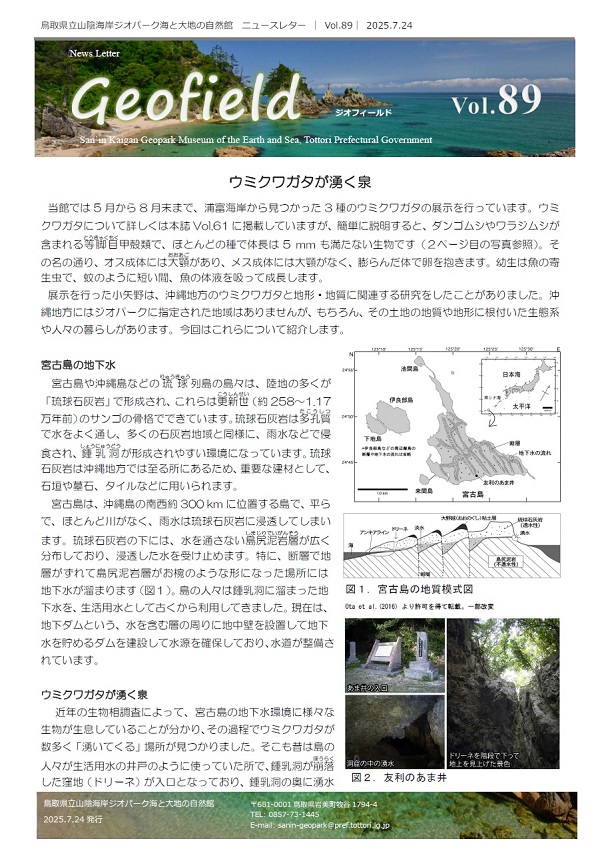 ジオフィールドVol89