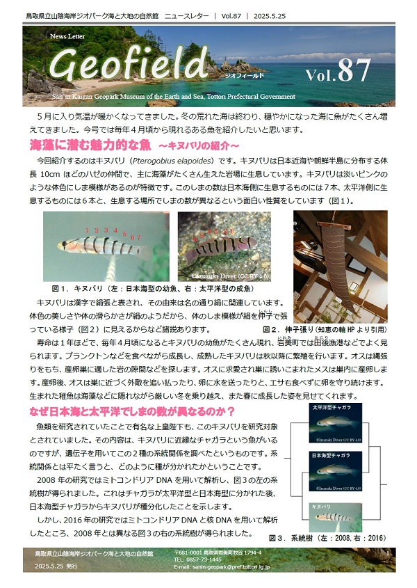 ジオフィールドVol.87