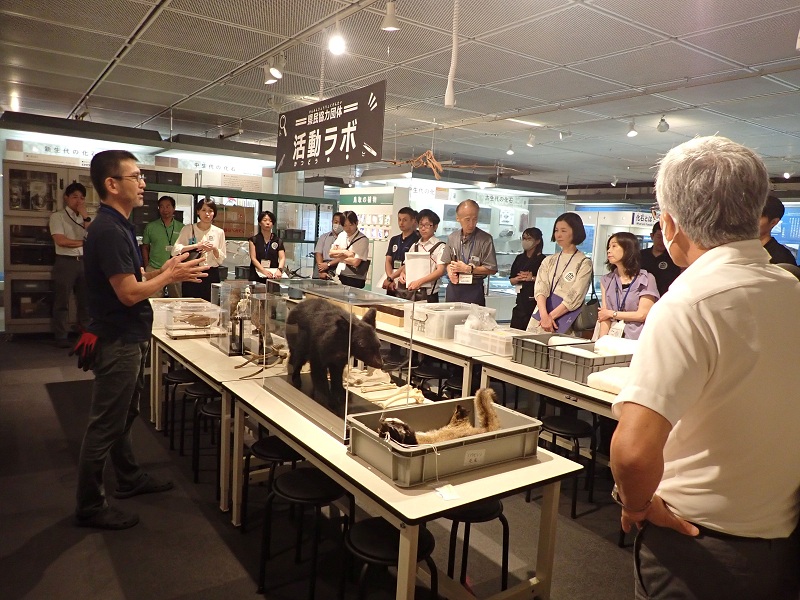 展示活動室「とっとりの自然史」にて
