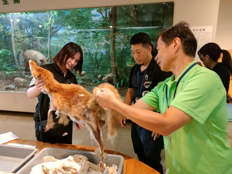 展示活動室「とっとりの自然史」にて