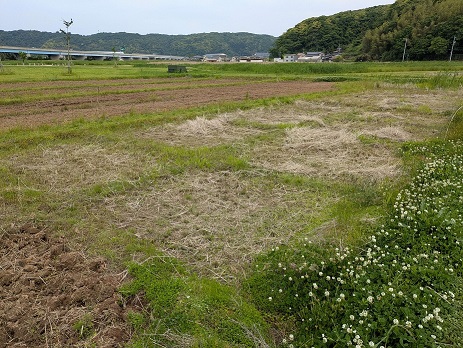 作業前の様子