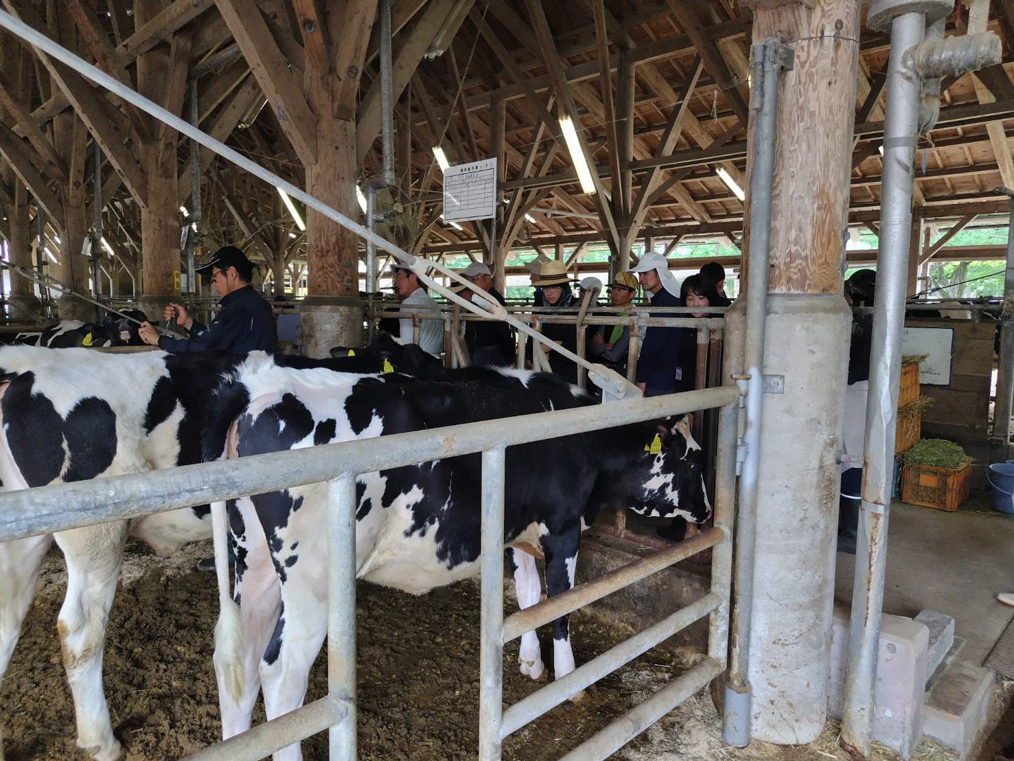 畜産コースの実習の様子です。飼育方法の説明を受けています。