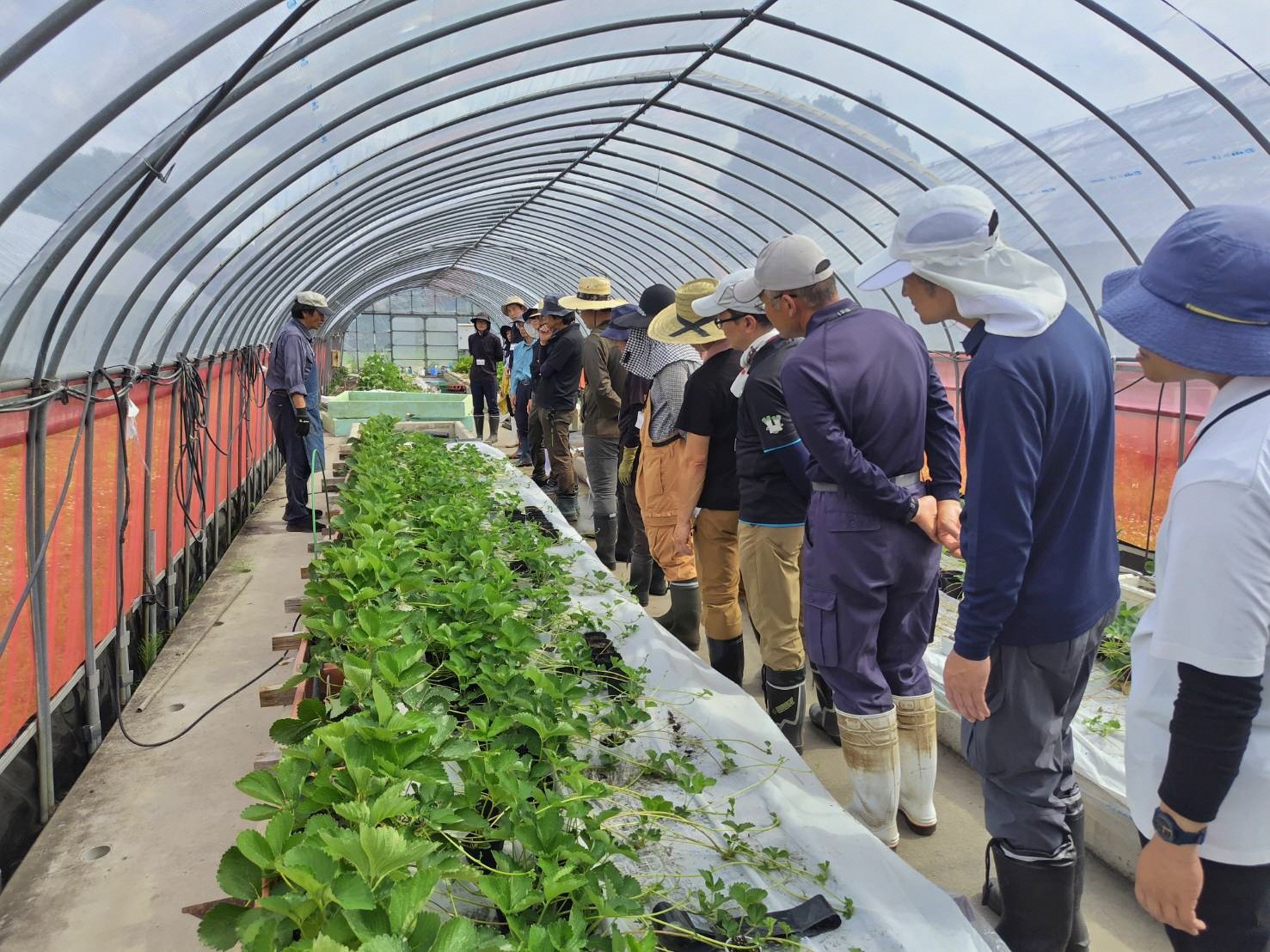 野菜コースの実習の様子です。イチゴの育苗の説明を受けています。