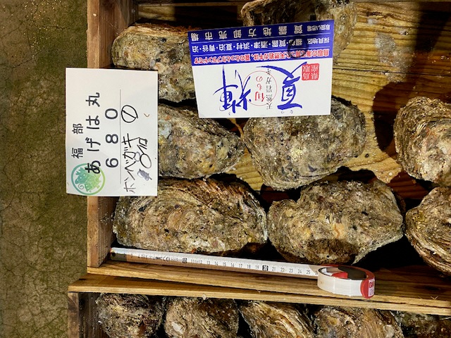ボンベガキ