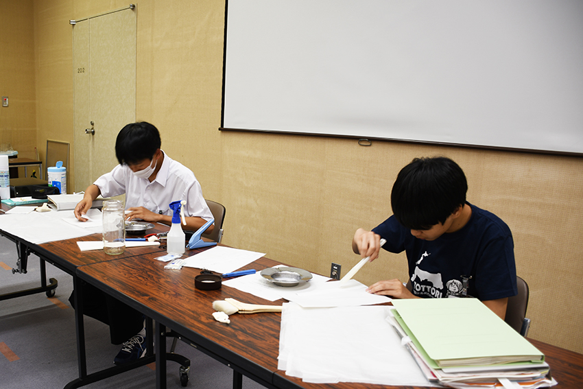 公文書の手入れをする様子